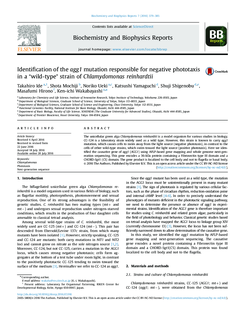 Identification of the agg1 mutation responsible for negative phototaxis in a “wild-type” strain of Chlamydomonas reinhardtii