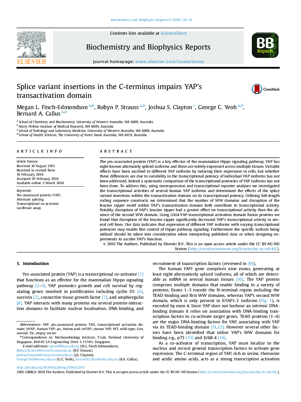 Splice variant insertions in the C-terminus impairs YAP’s transactivation domain