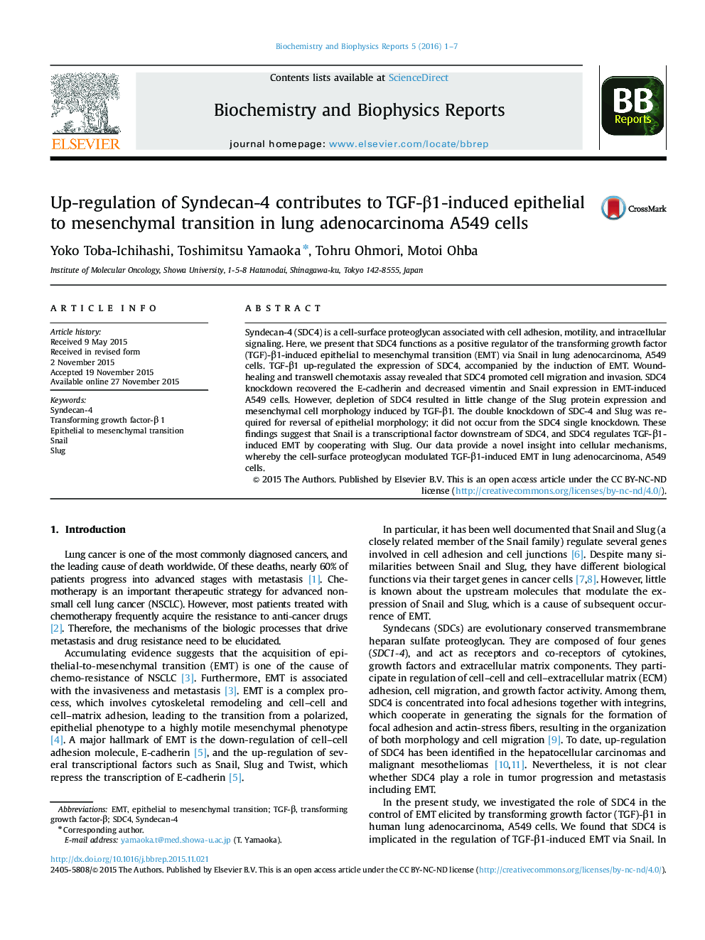 Up-regulation of Syndecan-4 contributes to TGF-β1-induced epithelial to mesenchymal transition in lung adenocarcinoma A549 cells