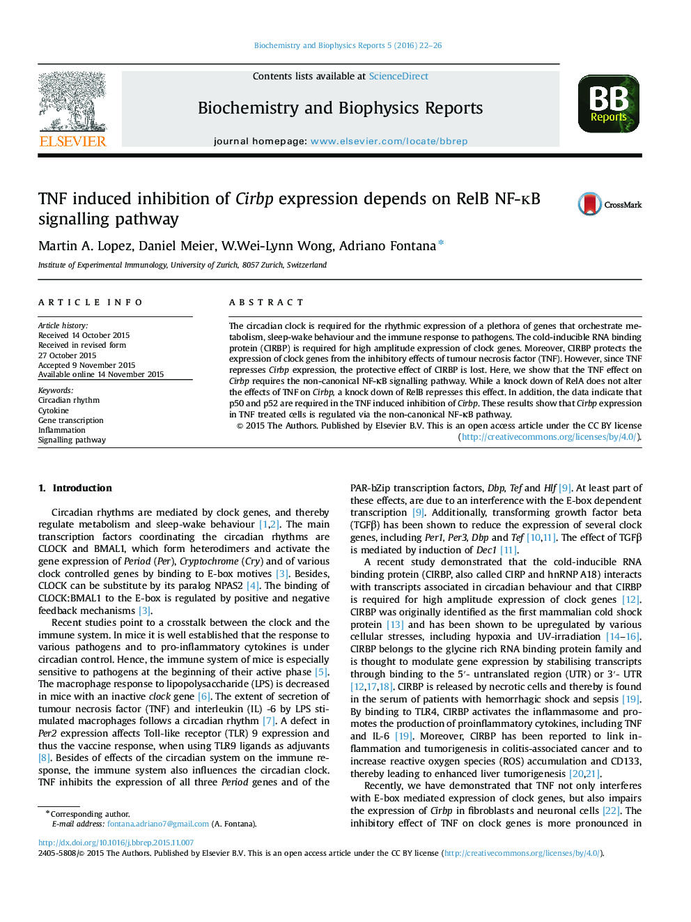 TNF induced inhibition of Cirbp expression depends on RelB NF-κB signalling pathway