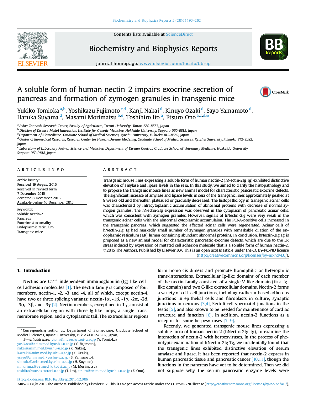 A soluble form of human nectin-2 impairs exocrine secretion of pancreas and formation of zymogen granules in transgenic mice