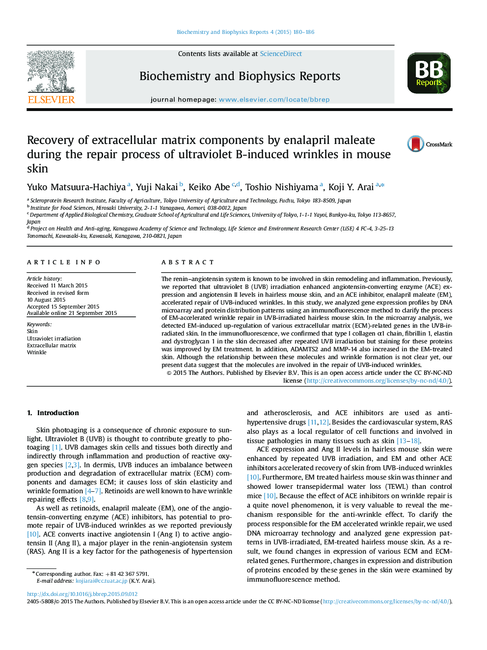 Recovery of extracellular matrix components by enalapril maleate during the repair process of ultraviolet B-induced wrinkles in mouse skin