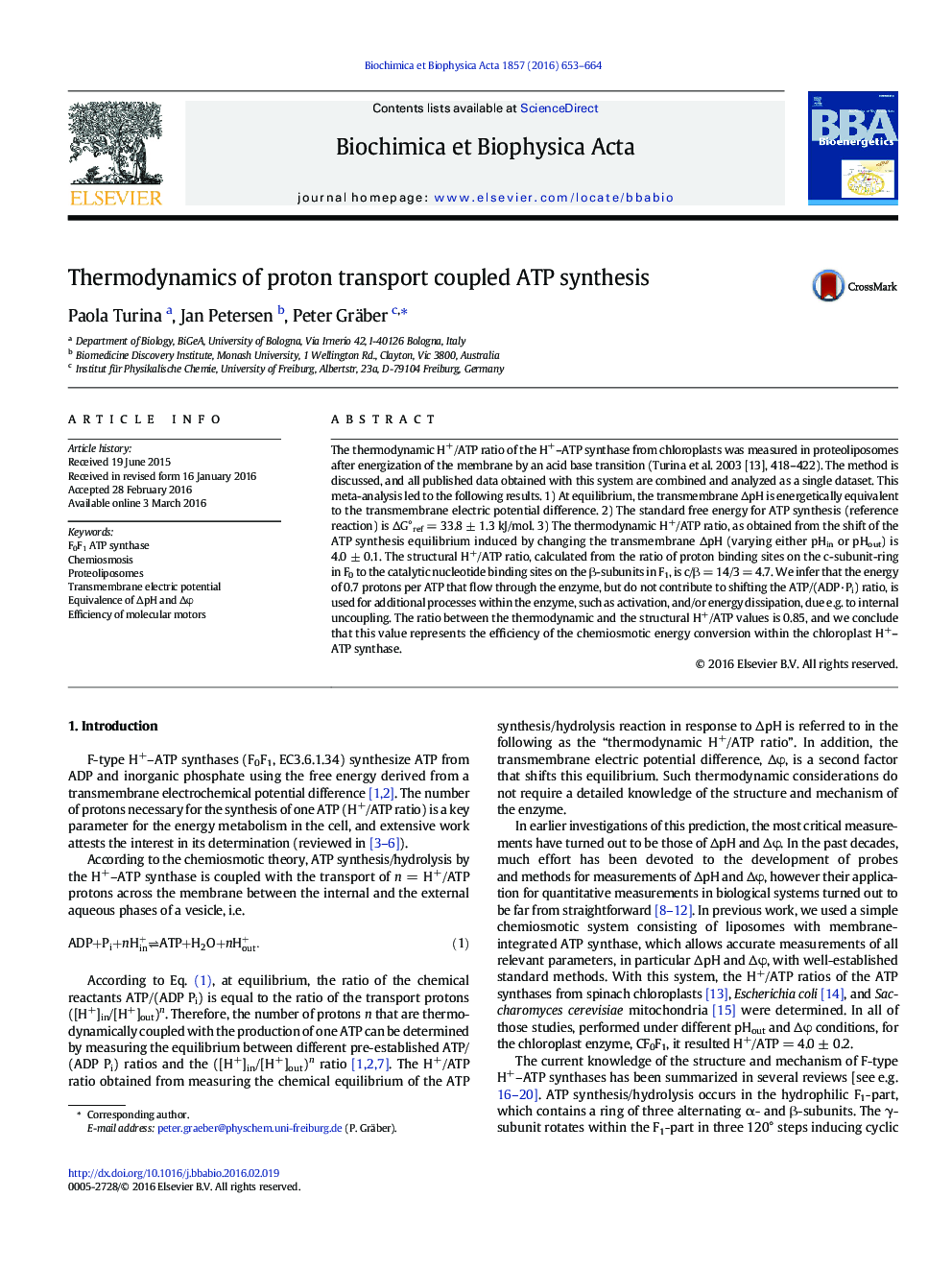 Thermodynamics of proton transport coupled ATP synthesis