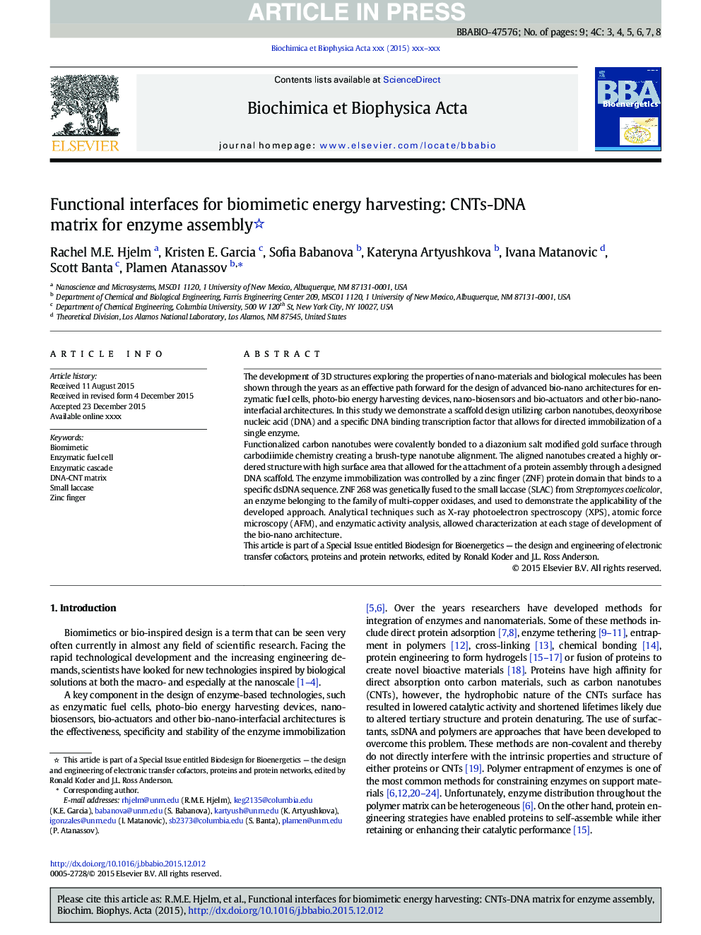 Functional interfaces for biomimetic energy harvesting: CNTs-DNA matrix for enzyme assembly