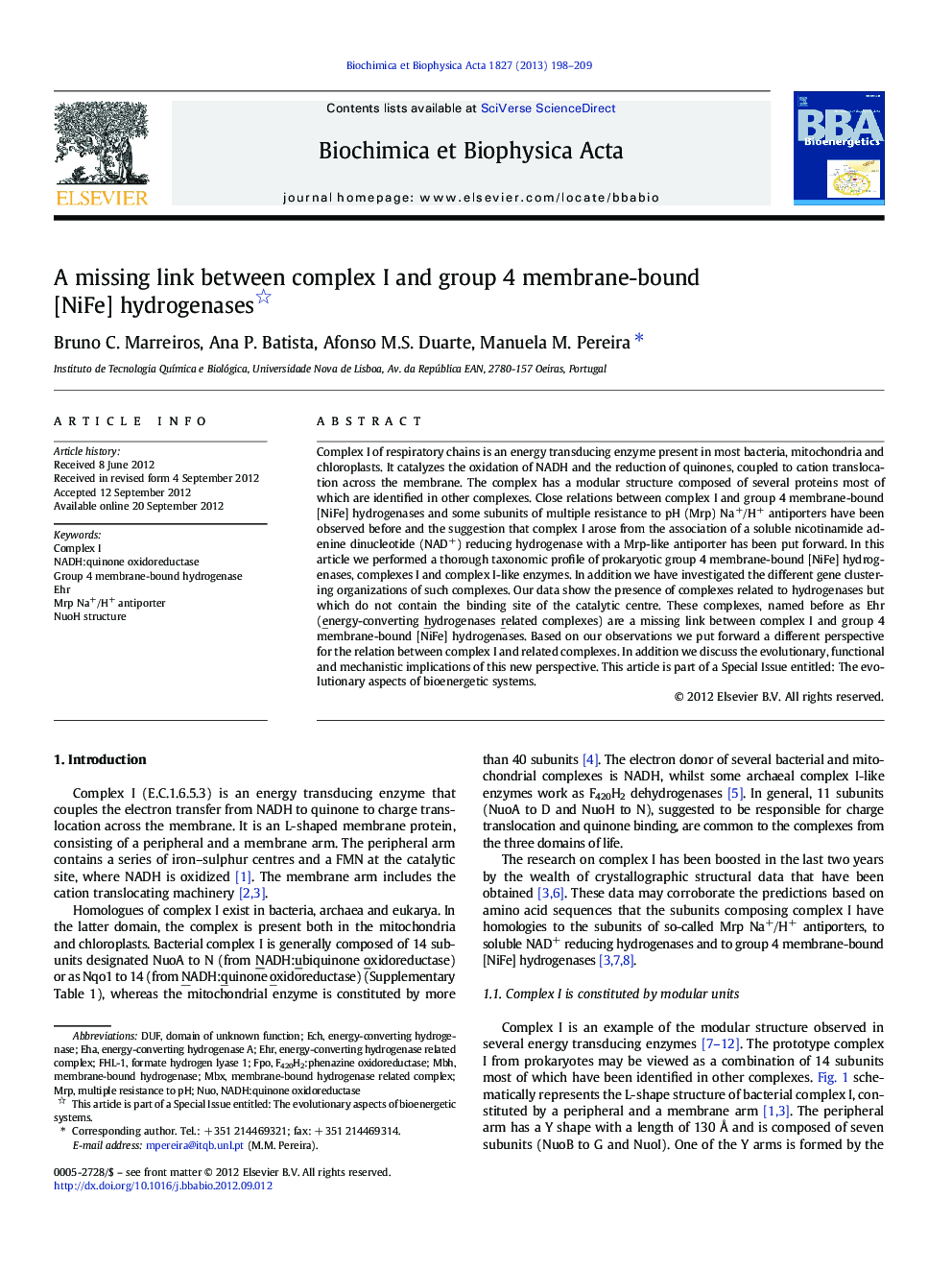A missing link between complex I and group 4 membrane-bound [NiFe] hydrogenases 