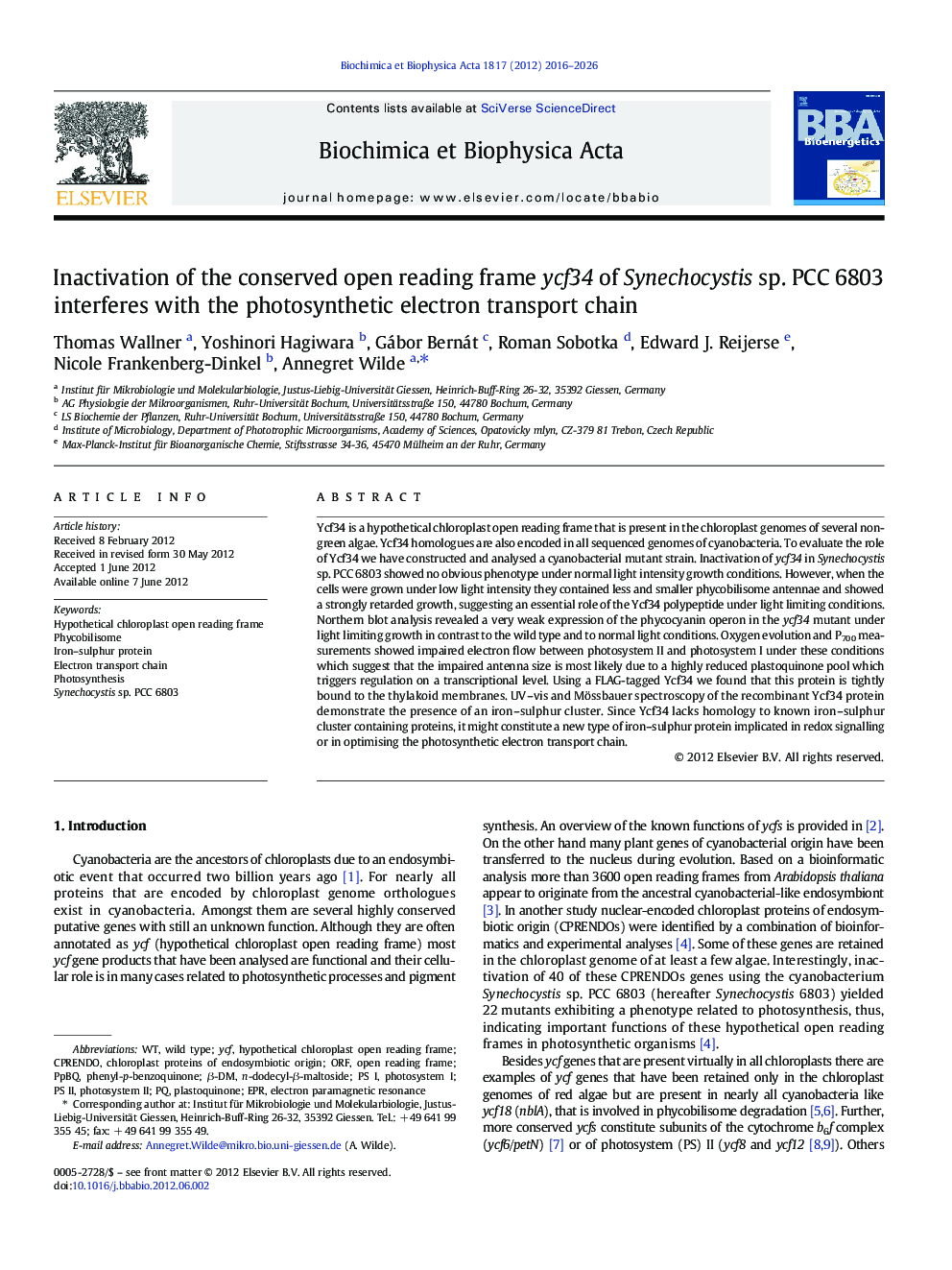 Inactivation of the conserved open reading frame ycf34 of Synechocystis sp. PCC 6803 interferes with the photosynthetic electron transport chain