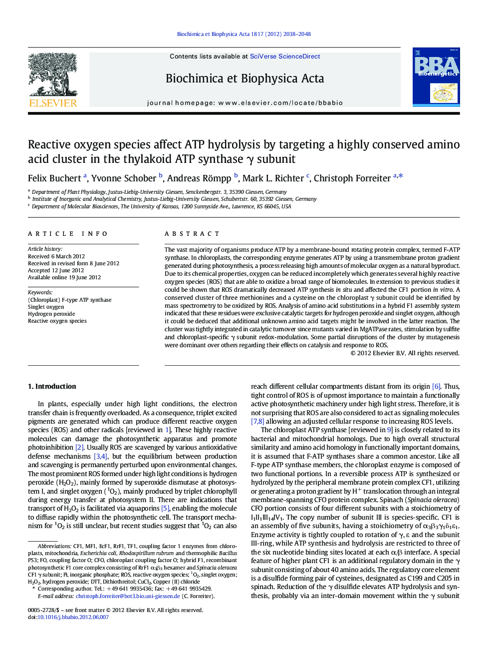 Reactive oxygen species affect ATP hydrolysis by targeting a highly conserved amino acid cluster in the thylakoid ATP synthase γ subunit