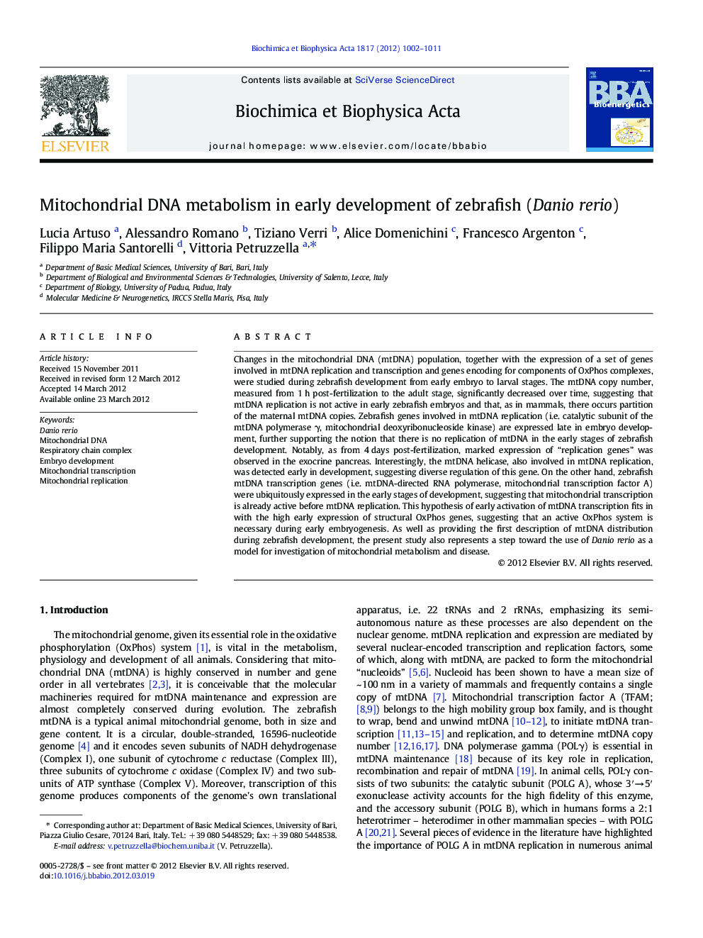 Mitochondrial DNA metabolism in early development of zebrafish (Danio rerio)