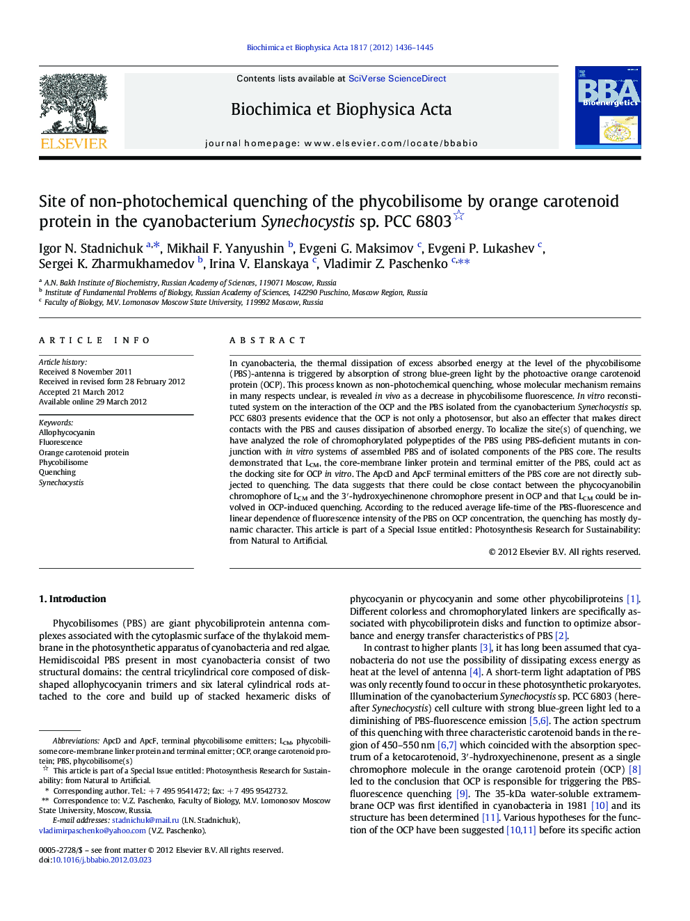 Site of non-photochemical quenching of the phycobilisome by orange carotenoid protein in the cyanobacterium Synechocystis sp. PCC 6803 