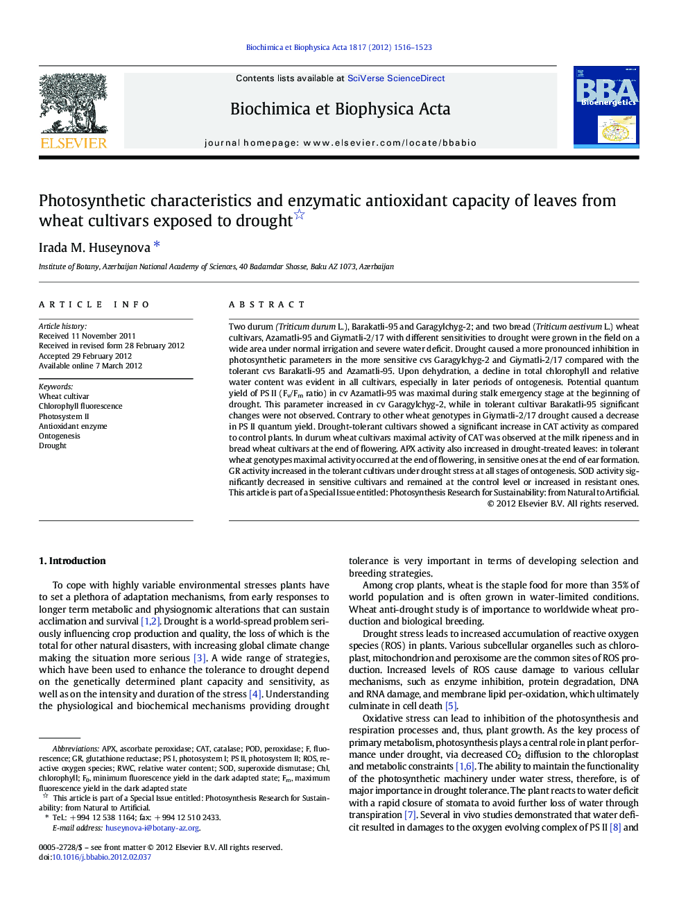 Photosynthetic characteristics and enzymatic antioxidant capacity of leaves from wheat cultivars exposed to drought