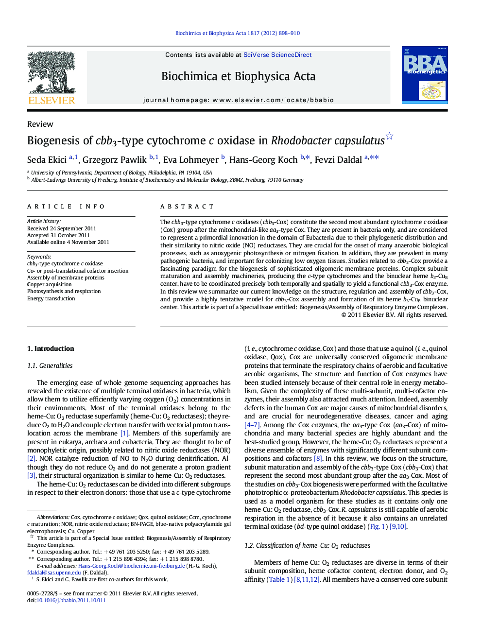 Biogenesis of cbb3-type cytochrome c oxidase in Rhodobacter capsulatus 