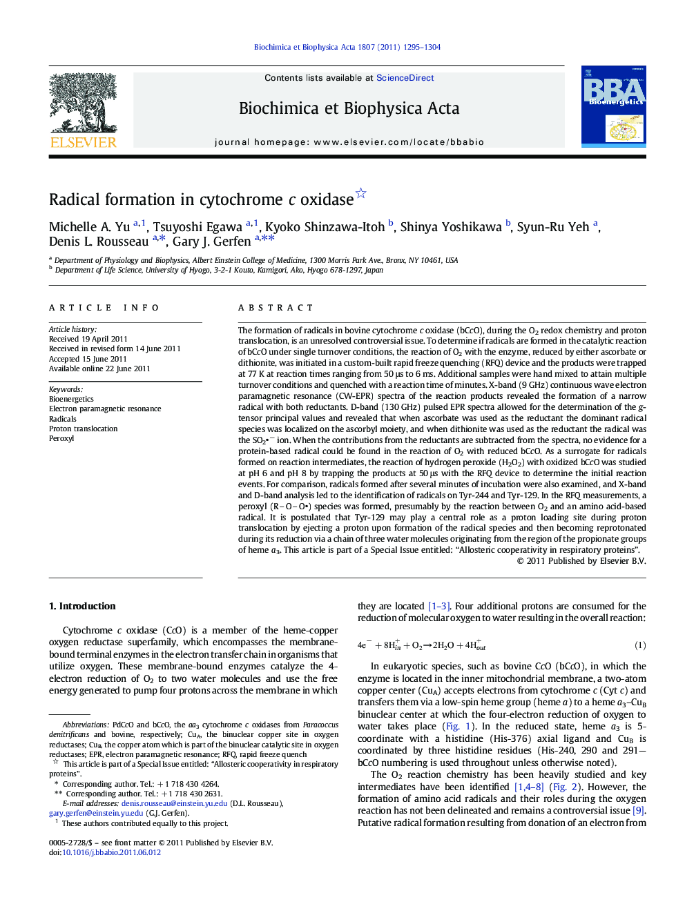 Radical formation in cytochrome c oxidase 