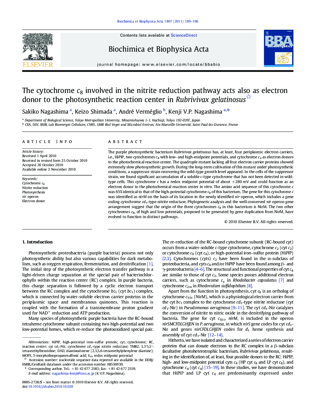 The cytochrome c8 involved in the nitrite reduction pathway acts also as electron donor to the photosynthetic reaction center in Rubrivivax gelatinosus