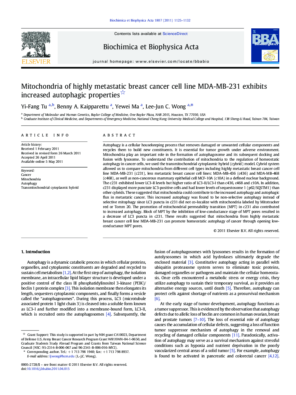 Mitochondria of highly metastatic breast cancer cell line MDA-MB-231 exhibits increased autophagic properties 