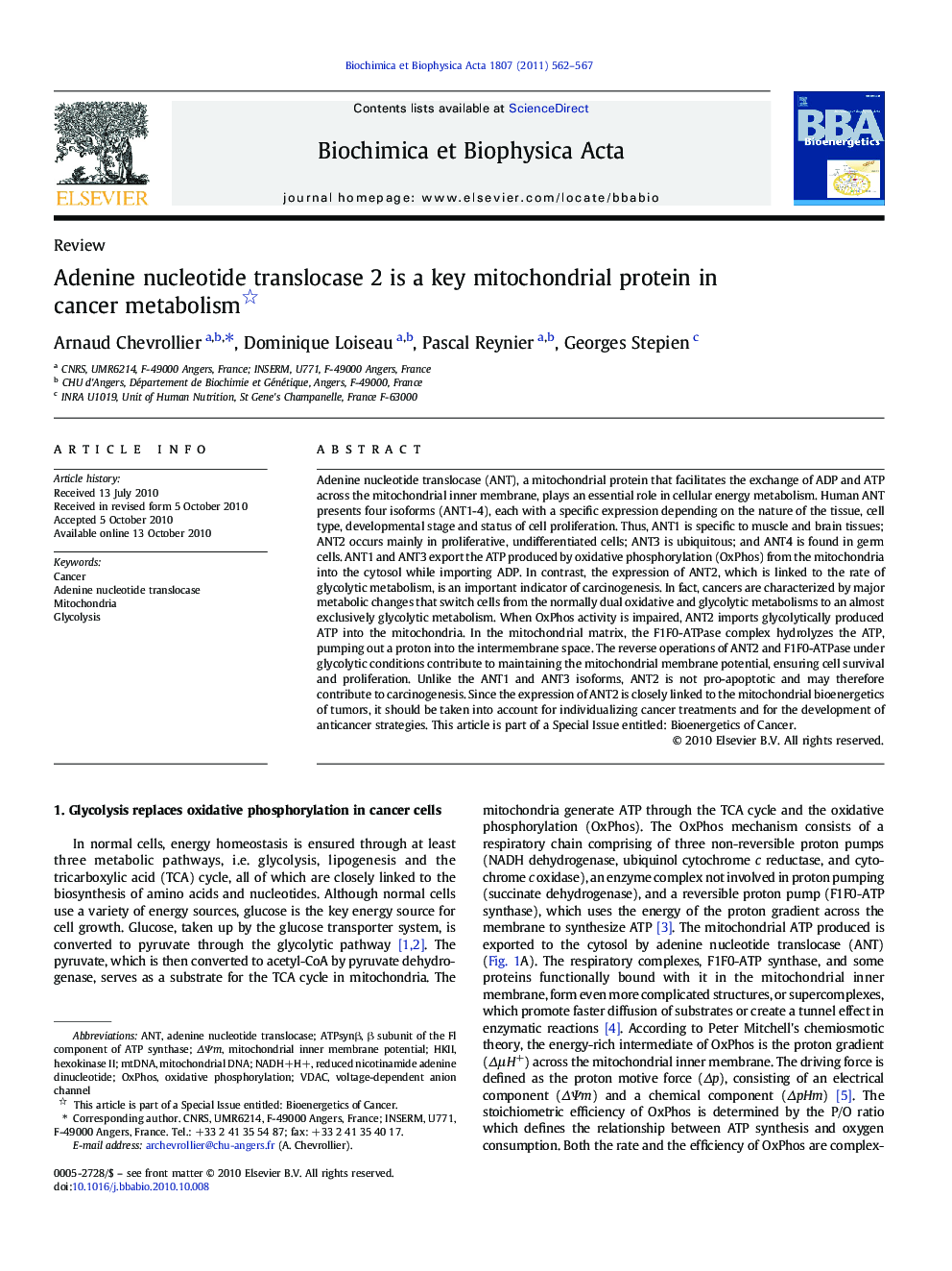 Adenine nucleotide translocase 2 is a key mitochondrial protein in cancer metabolism 