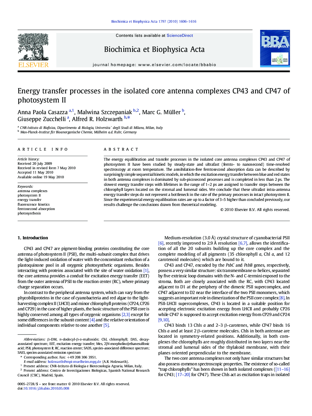 Energy transfer processes in the isolated core antenna complexes CP43 and CP47 of photosystem II