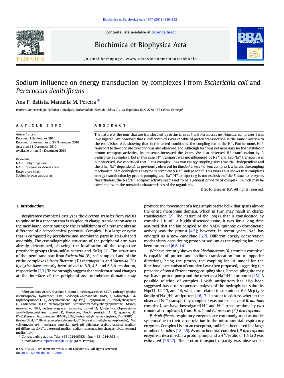 Sodium influence on energy transduction by complexes I from Escherichia coli and Paracoccus denitrificans