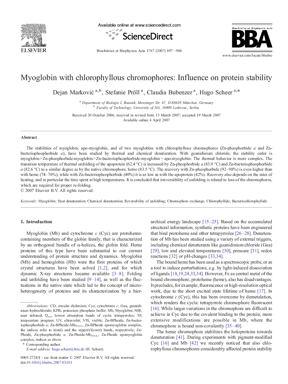 Myoglobin with chlorophyllous chromophores: Influence on protein stability