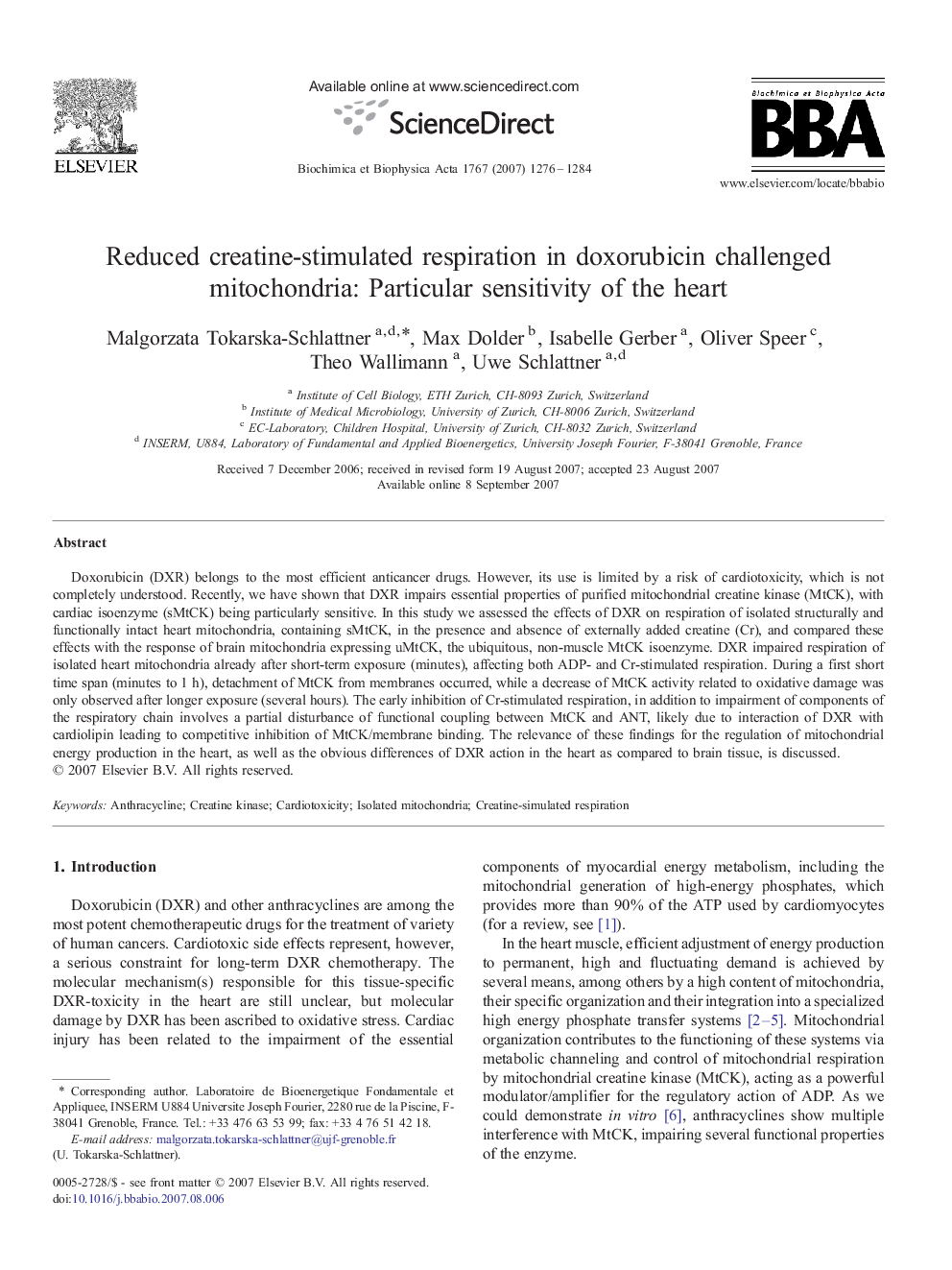 Reduced creatine-stimulated respiration in doxorubicin challenged mitochondria: Particular sensitivity of the heart