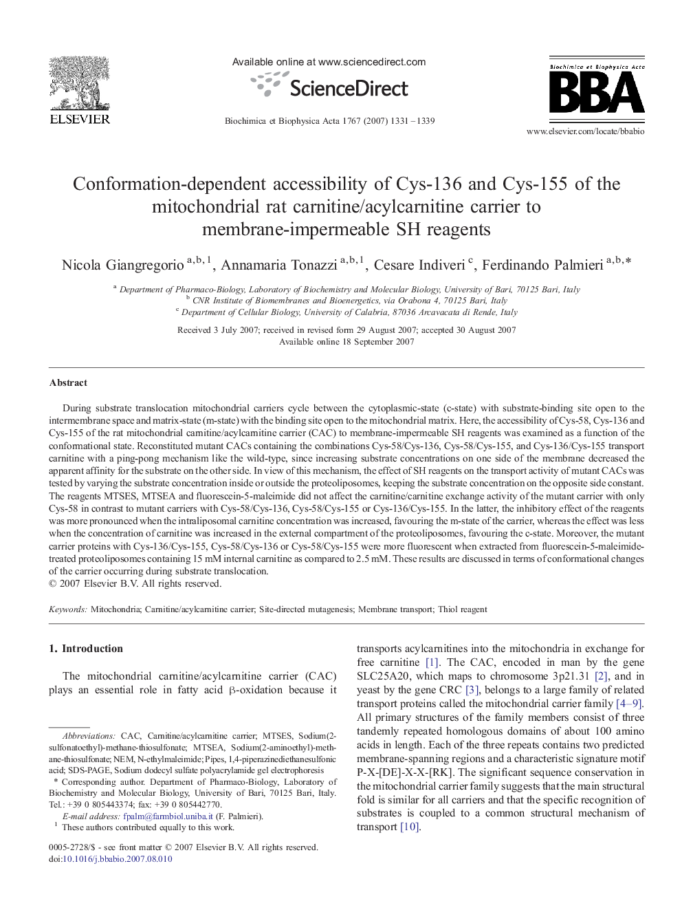 Conformation-dependent accessibility of Cys-136 and Cys-155 of the mitochondrial rat carnitine/acylcarnitine carrier to membrane-impermeable SH reagents