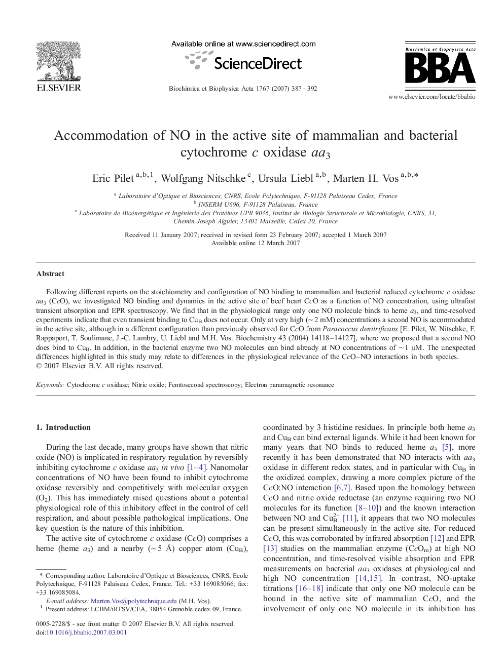 Accommodation of NO in the active site of mammalian and bacterial cytochrome c oxidase aa3