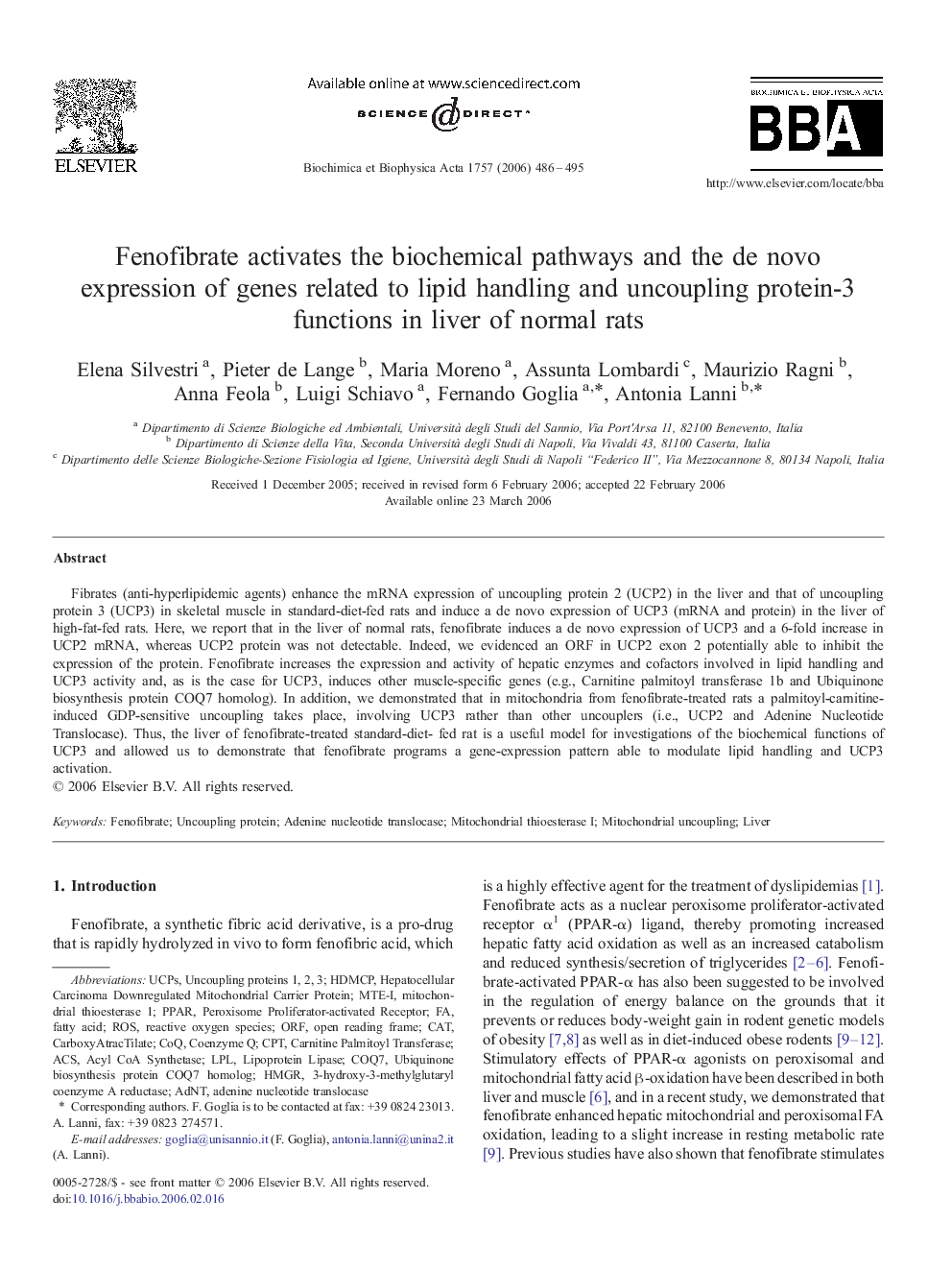 Fenofibrate activates the biochemical pathways and the de novo expression of genes related to lipid handling and uncoupling protein-3 functions in liver of normal rats