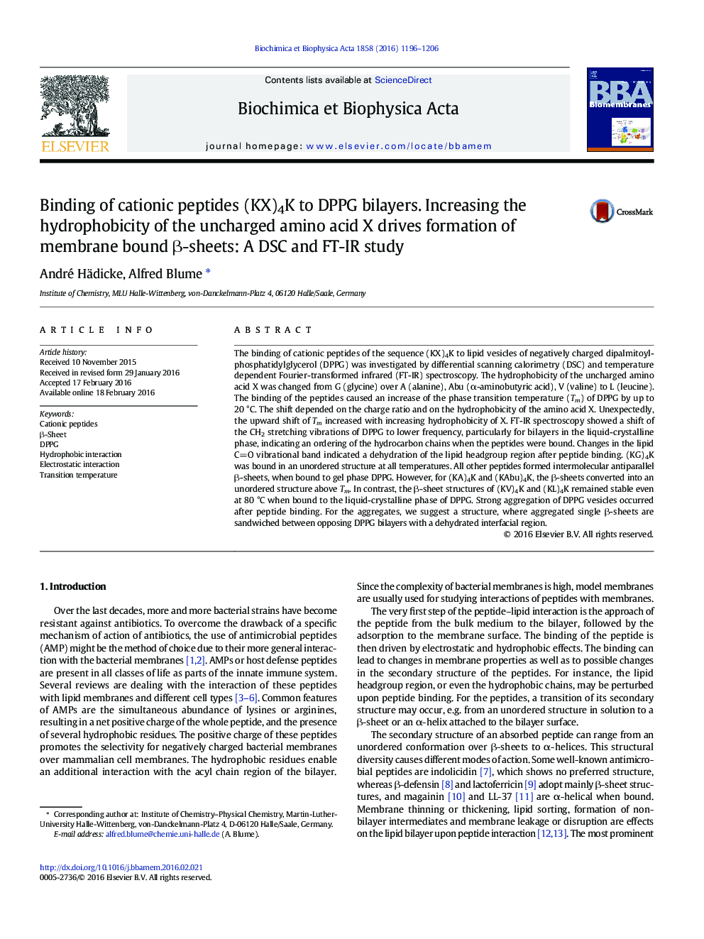 Binding of cationic peptides (KX)4K to DPPG bilayers. Increasing the hydrophobicity of the uncharged amino acid X drives formation of membrane bound β-sheets: A DSC and FT-IR study