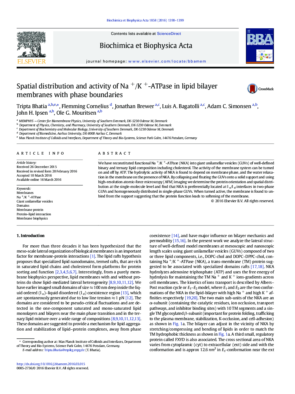 Spatial distribution and activity of Na +/K +-ATPase in lipid bilayer membranes with phase boundaries