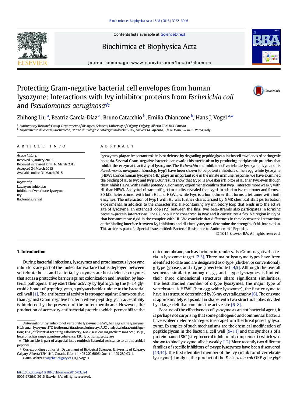 Protecting Gram-negative bacterial cell envelopes from human lysozyme: Interactions with Ivy inhibitor proteins from Escherichia coli and Pseudomonas aeruginosa