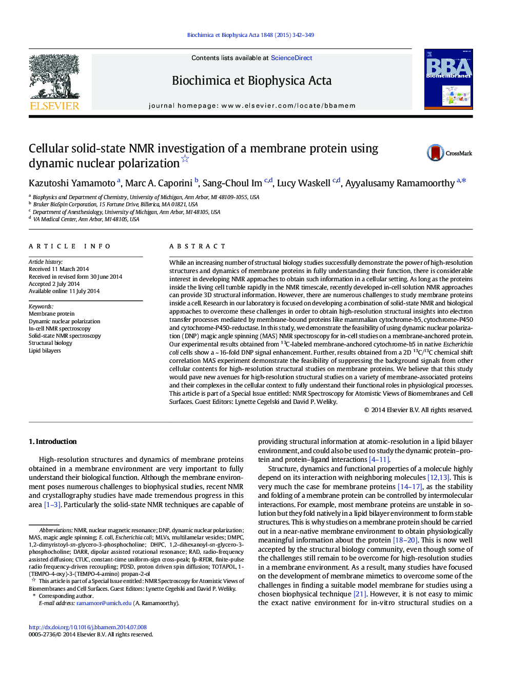 Cellular solid-state NMR investigation of a membrane protein using dynamic nuclear polarization 