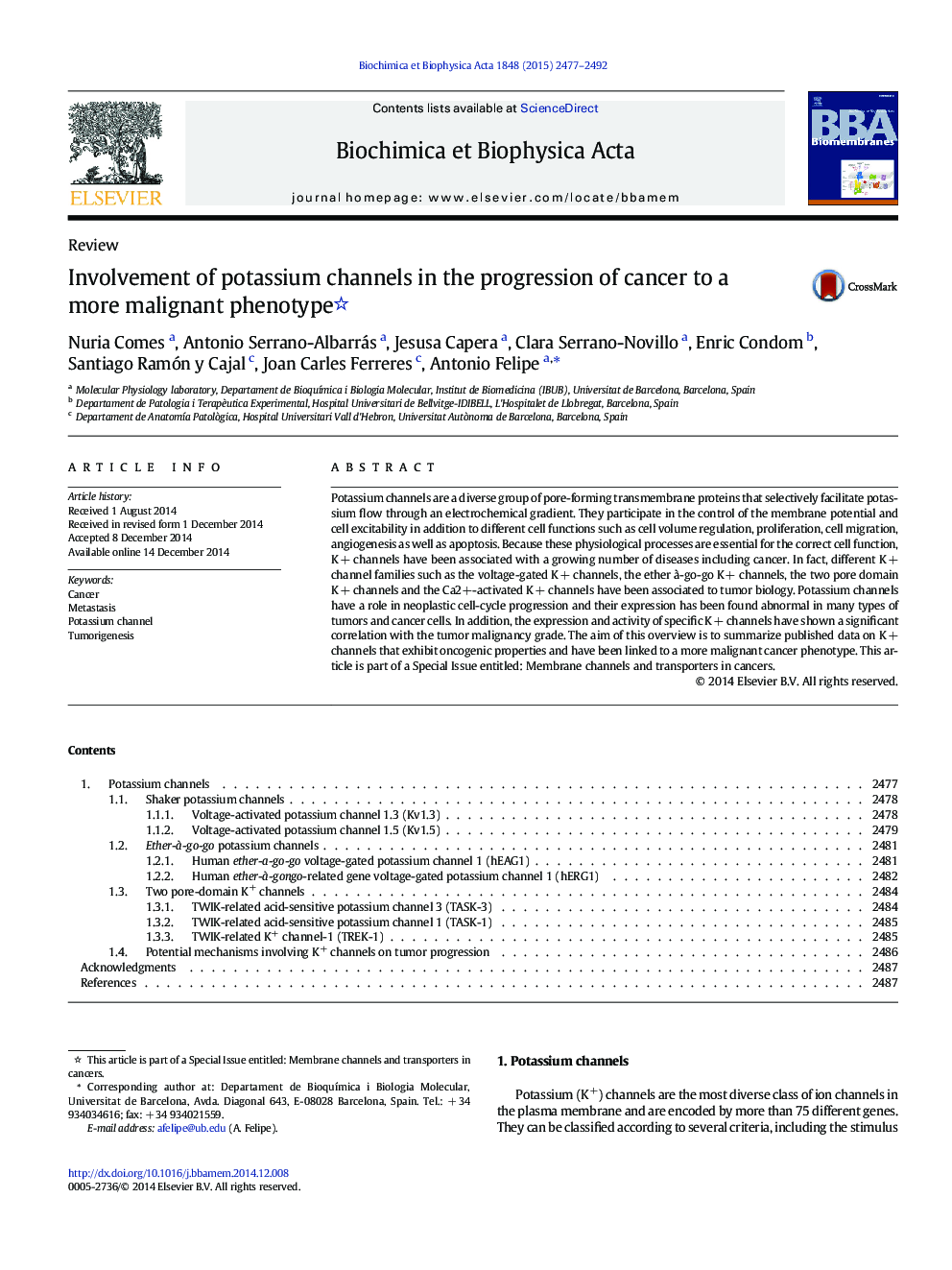 Involvement of potassium channels in the progression of cancer to a more malignant phenotype 