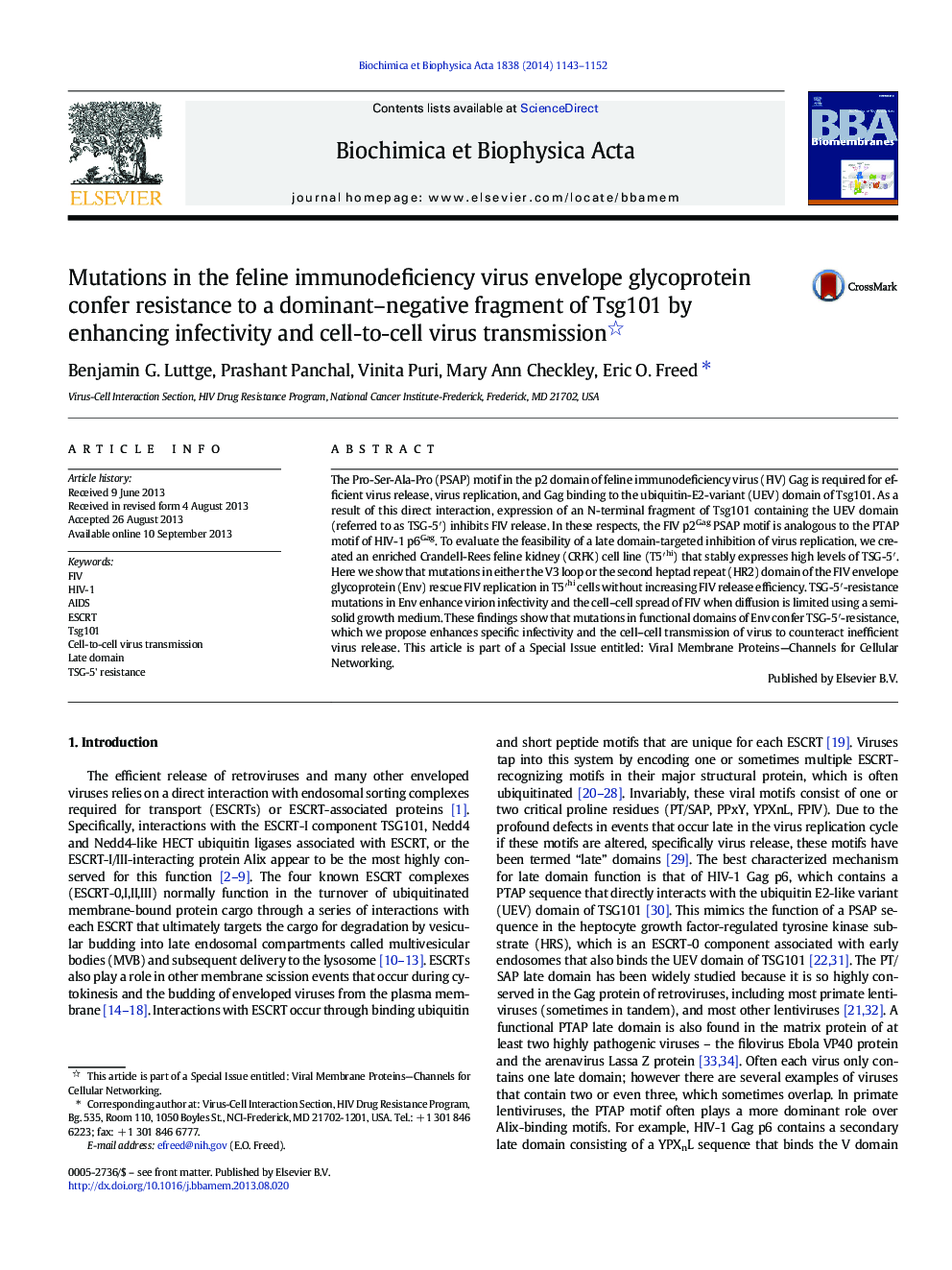 Mutations in the feline immunodeficiency virus envelope glycoprotein confer resistance to a dominant–negative fragment of Tsg101 by enhancing infectivity and cell-to-cell virus transmission 