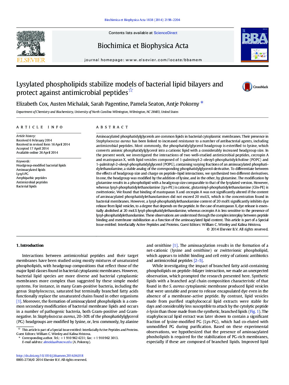 Lysylated phospholipids stabilize models of bacterial lipid bilayers and protect against antimicrobial peptides 