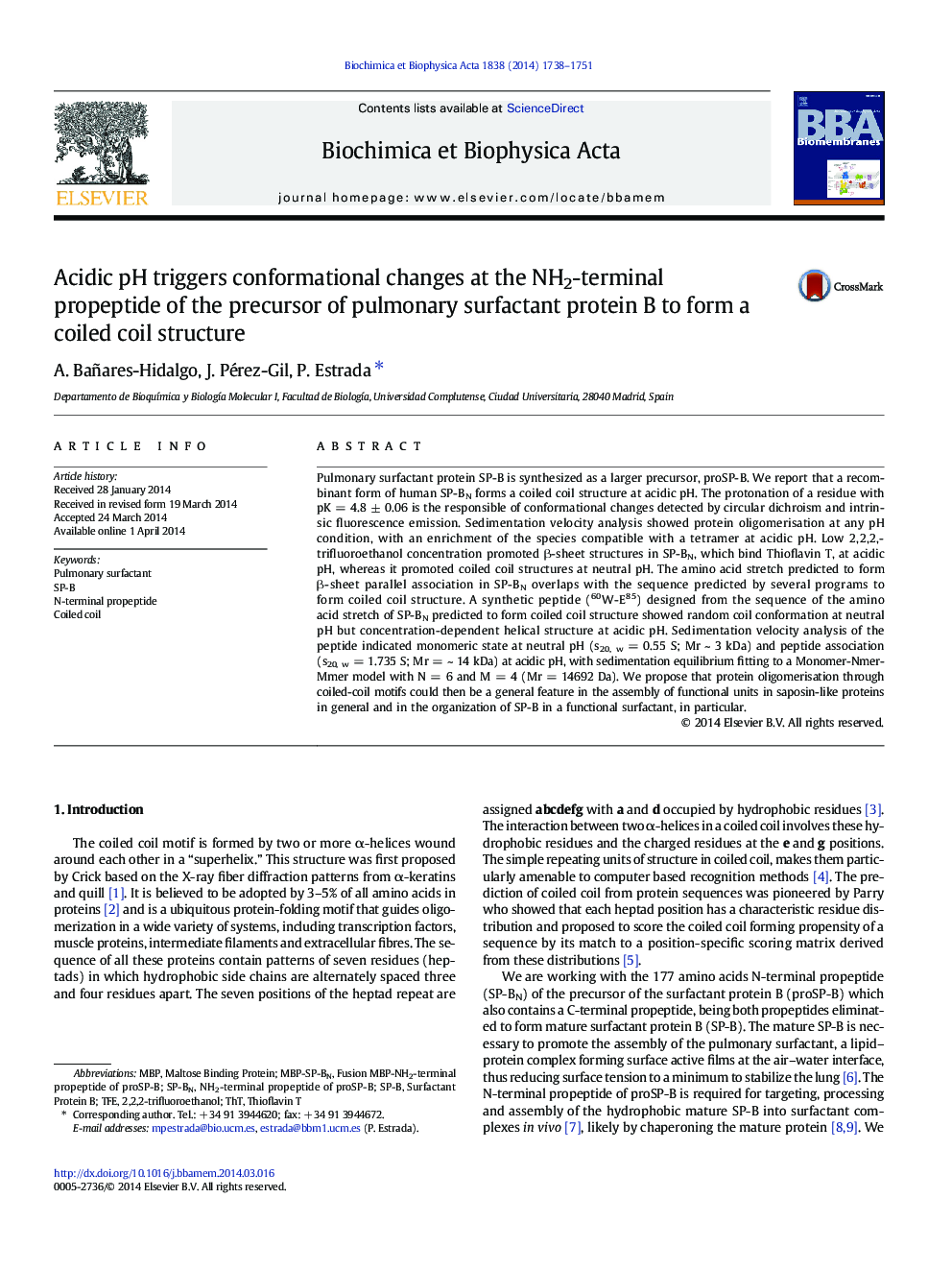 Acidic pH triggers conformational changes at the NH2-terminal propeptide of the precursor of pulmonary surfactant protein B to form a coiled coil structure