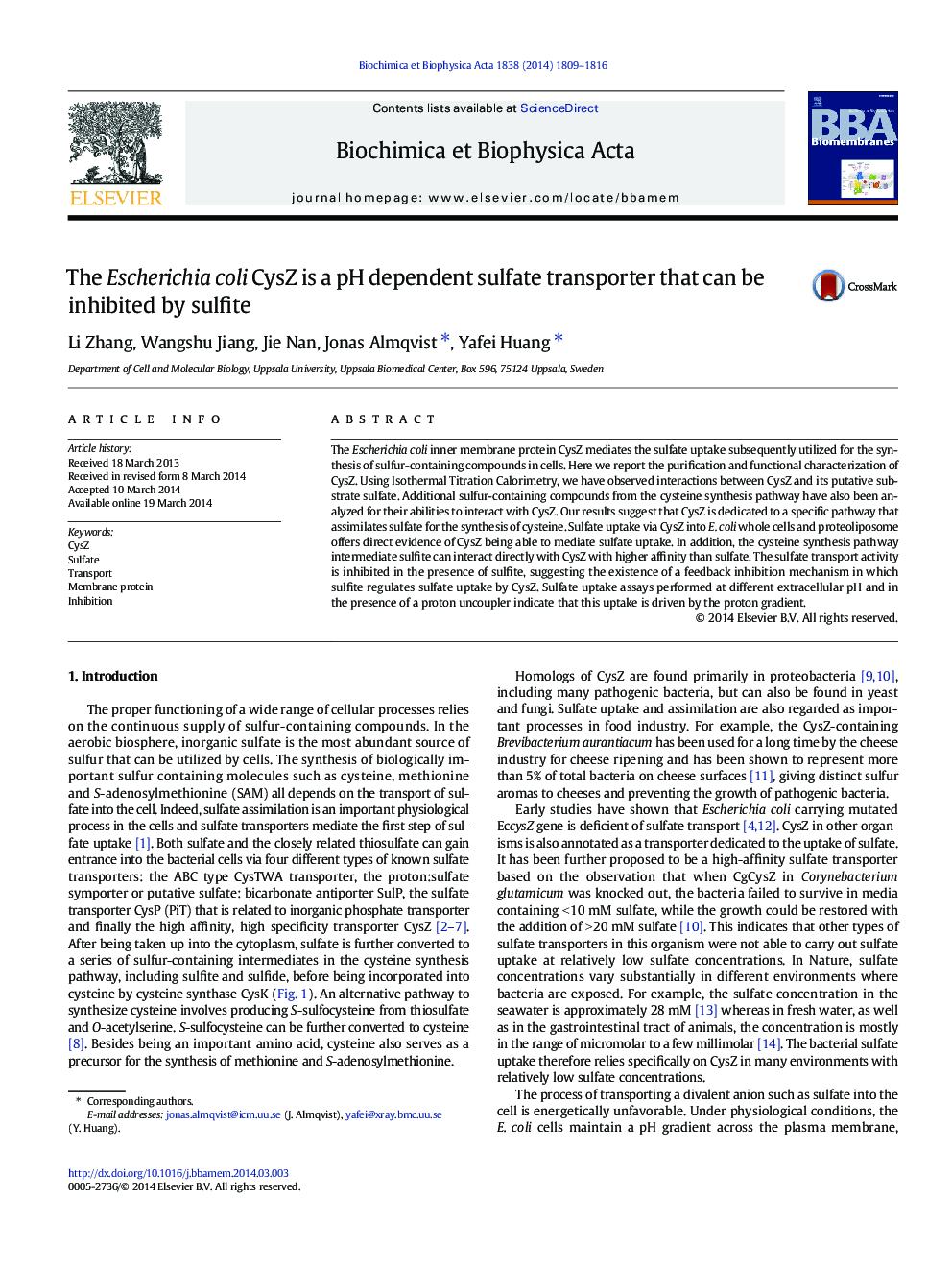 The Escherichia coli CysZ is a pH dependent sulfate transporter that can be inhibited by sulfite