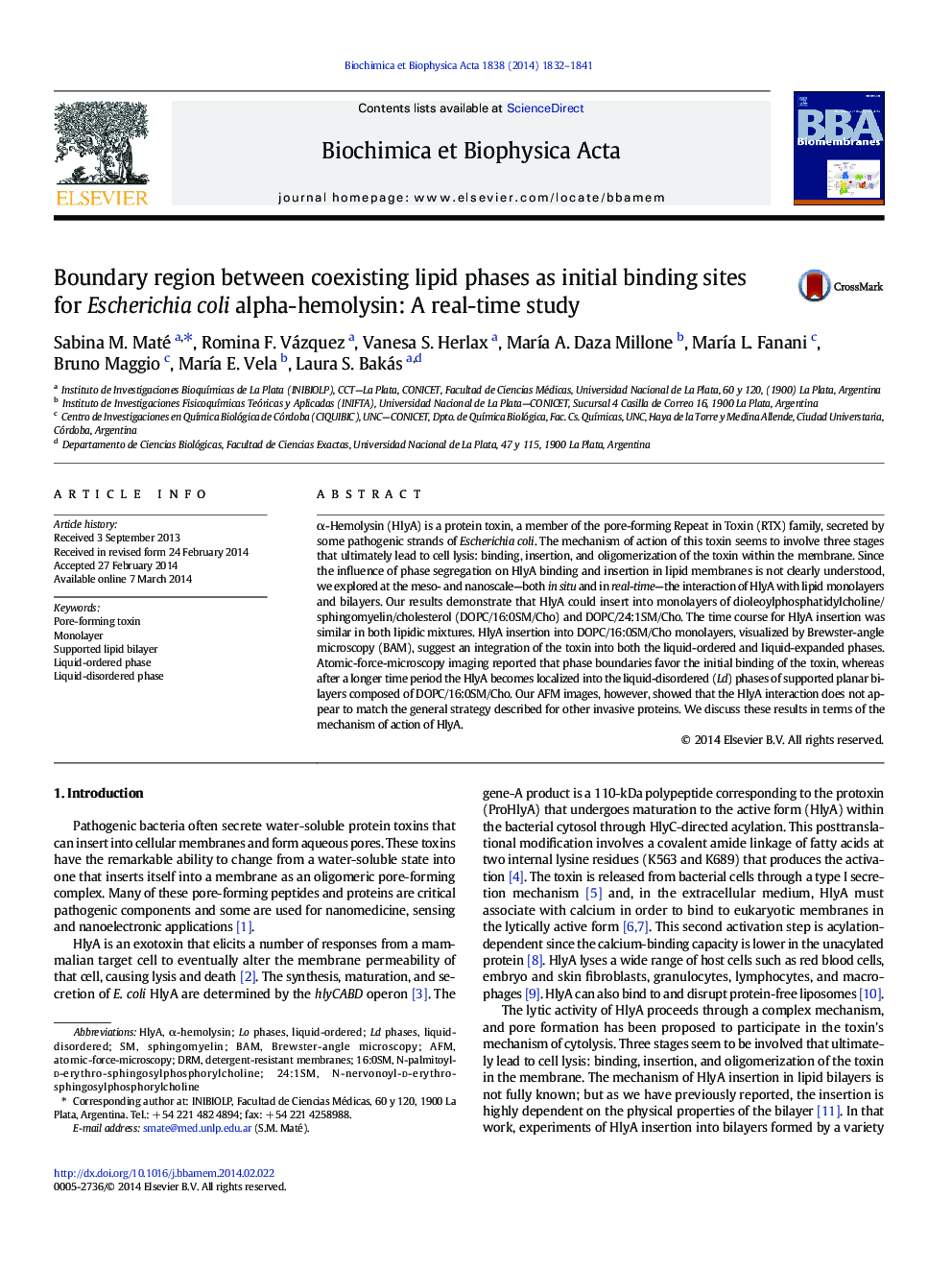 Boundary region between coexisting lipid phases as initial binding sites for Escherichia coli alpha-hemolysin: A real-time study