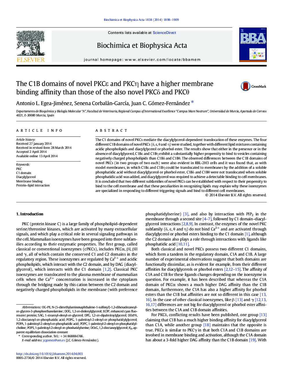 The C1B domains of novel PKCε and PKCη have a higher membrane binding affinity than those of the also novel PKCδ and PKCθ