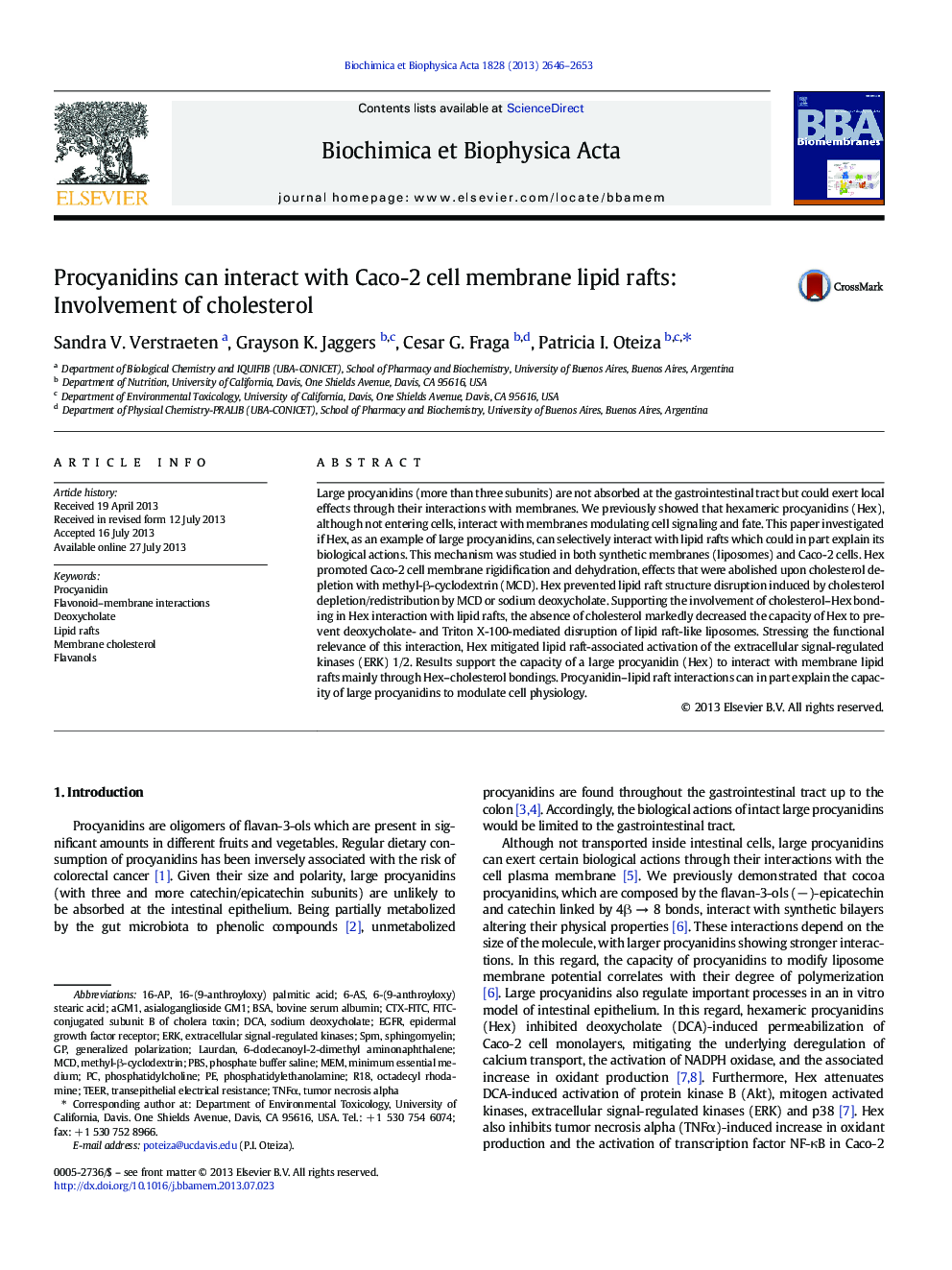 Procyanidins can interact with Caco-2 cell membrane lipid rafts: Involvement of cholesterol