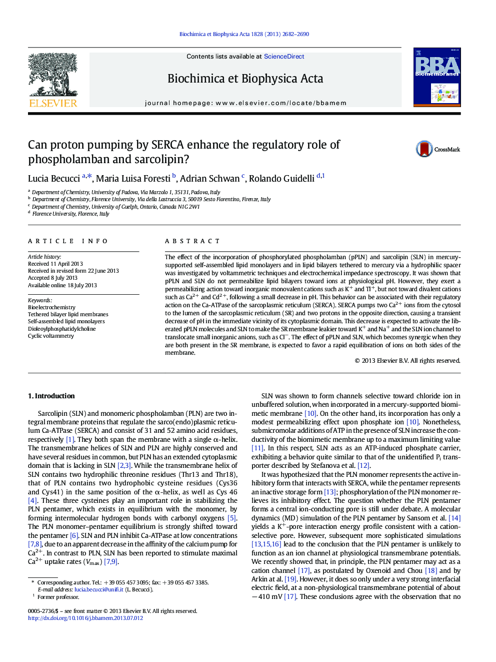 Can proton pumping by SERCA enhance the regulatory role of phospholamban and sarcolipin?