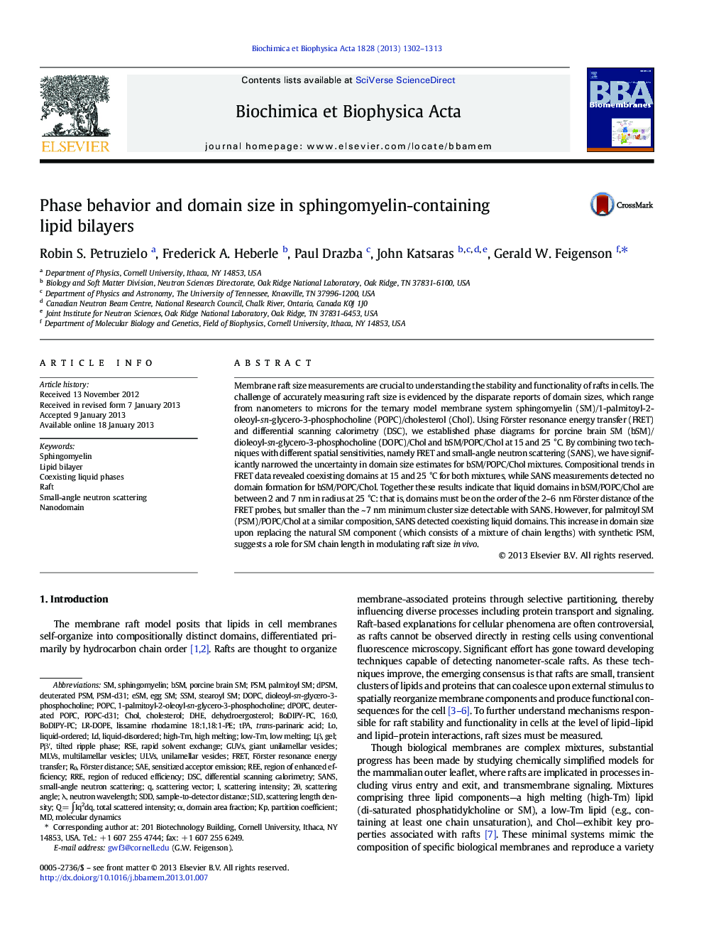 Phase behavior and domain size in sphingomyelin-containing lipid bilayers