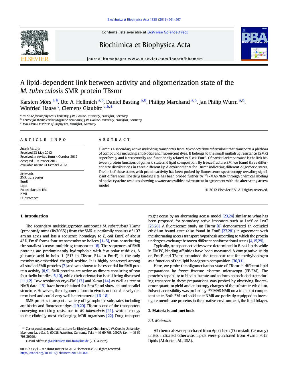 A lipid-dependent link between activity and oligomerization state of the M. tuberculosis SMR protein TBsmr