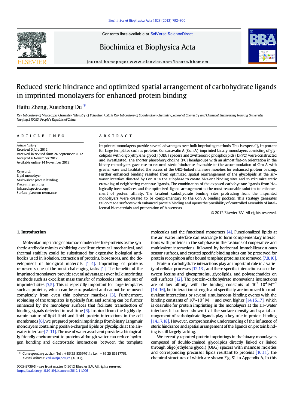 Reduced steric hindrance and optimized spatial arrangement of carbohydrate ligands in imprinted monolayers for enhanced protein binding