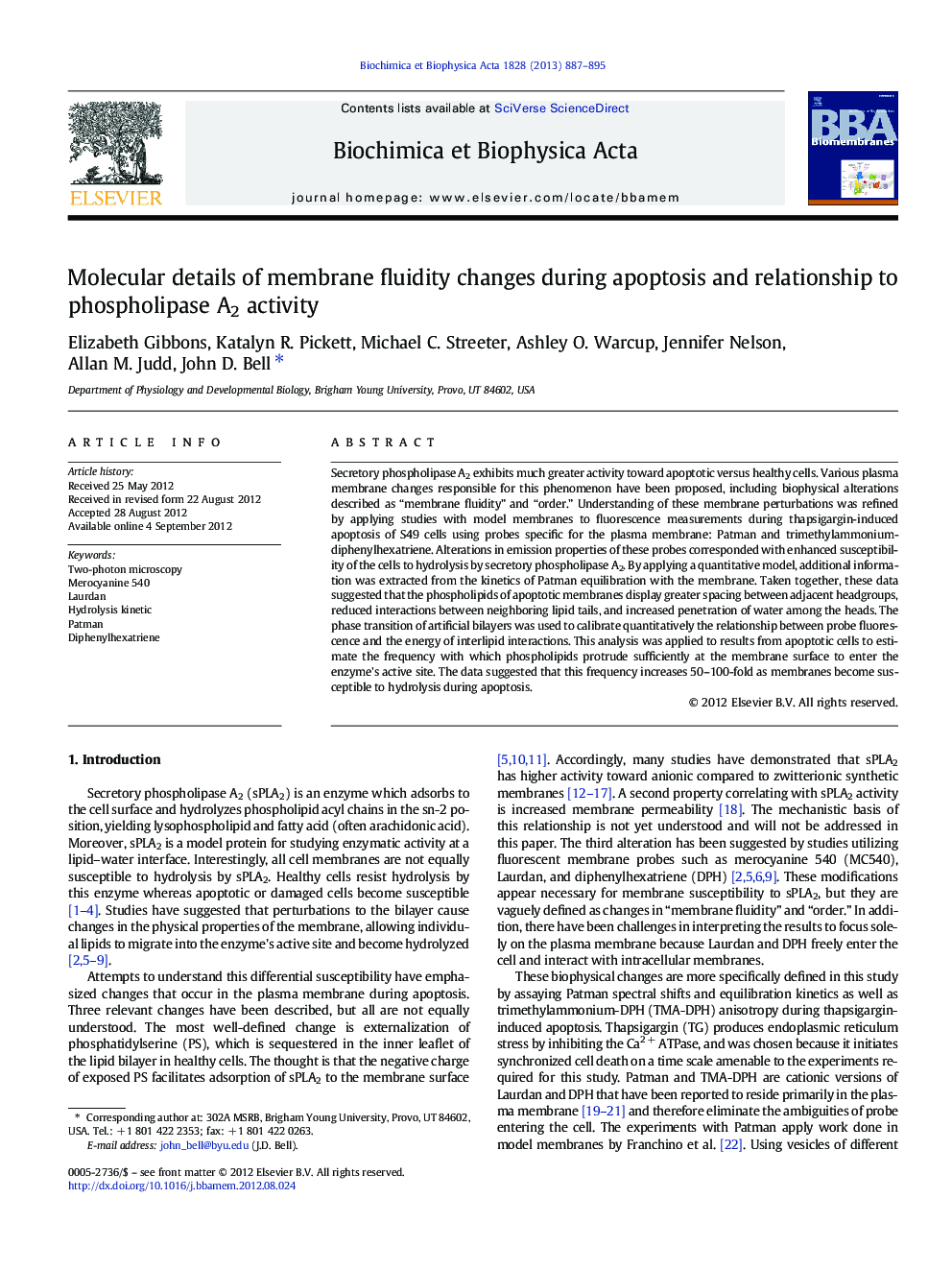 Molecular details of membrane fluidity changes during apoptosis and relationship to phospholipase A2 activity