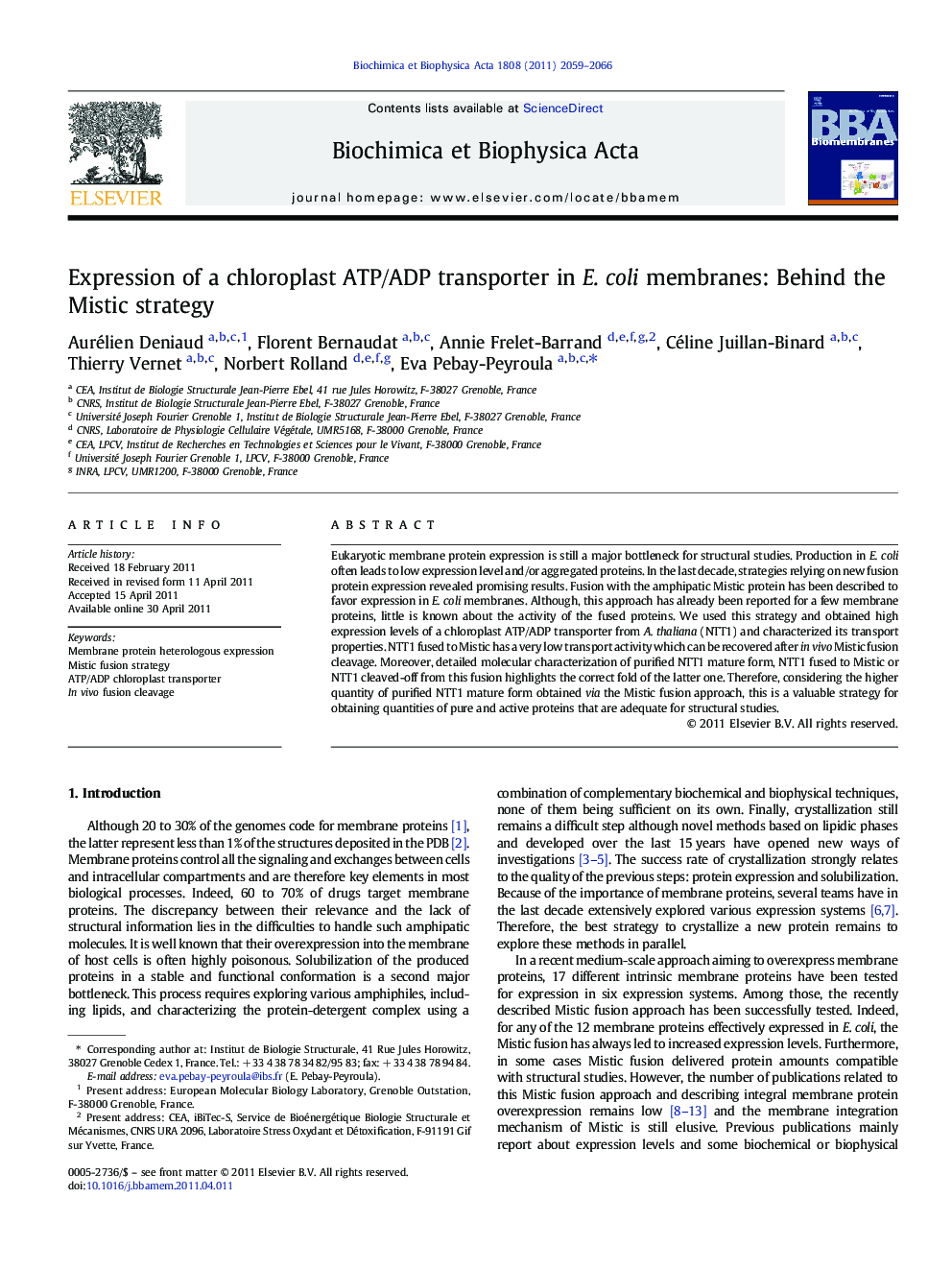 Expression of a chloroplast ATP/ADP transporter in E. coli membranes: Behind the Mistic strategy