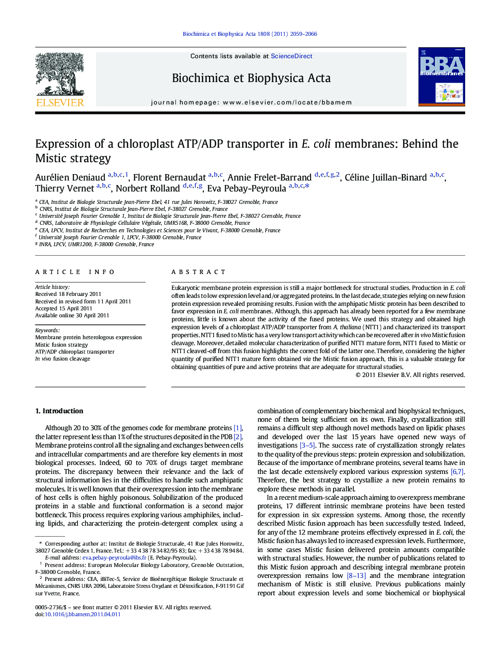 Expression of a chloroplast ATP/ADP transporter in E. coli membranes: Behind the Mistic strategy