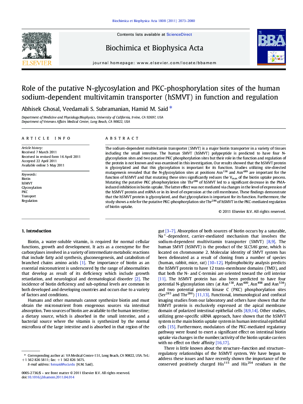 Role of the putative N-glycosylation and PKC-phosphorylation sites of the human sodium-dependent multivitamin transporter (hSMVT) in function and regulation