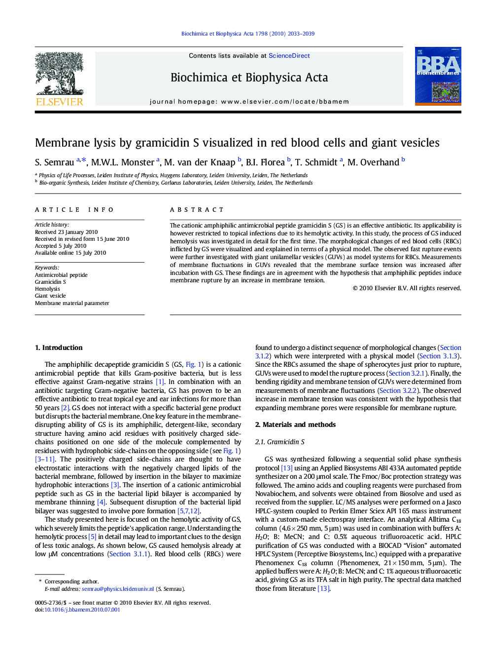 Membrane lysis by gramicidin S visualized in red blood cells and giant vesicles