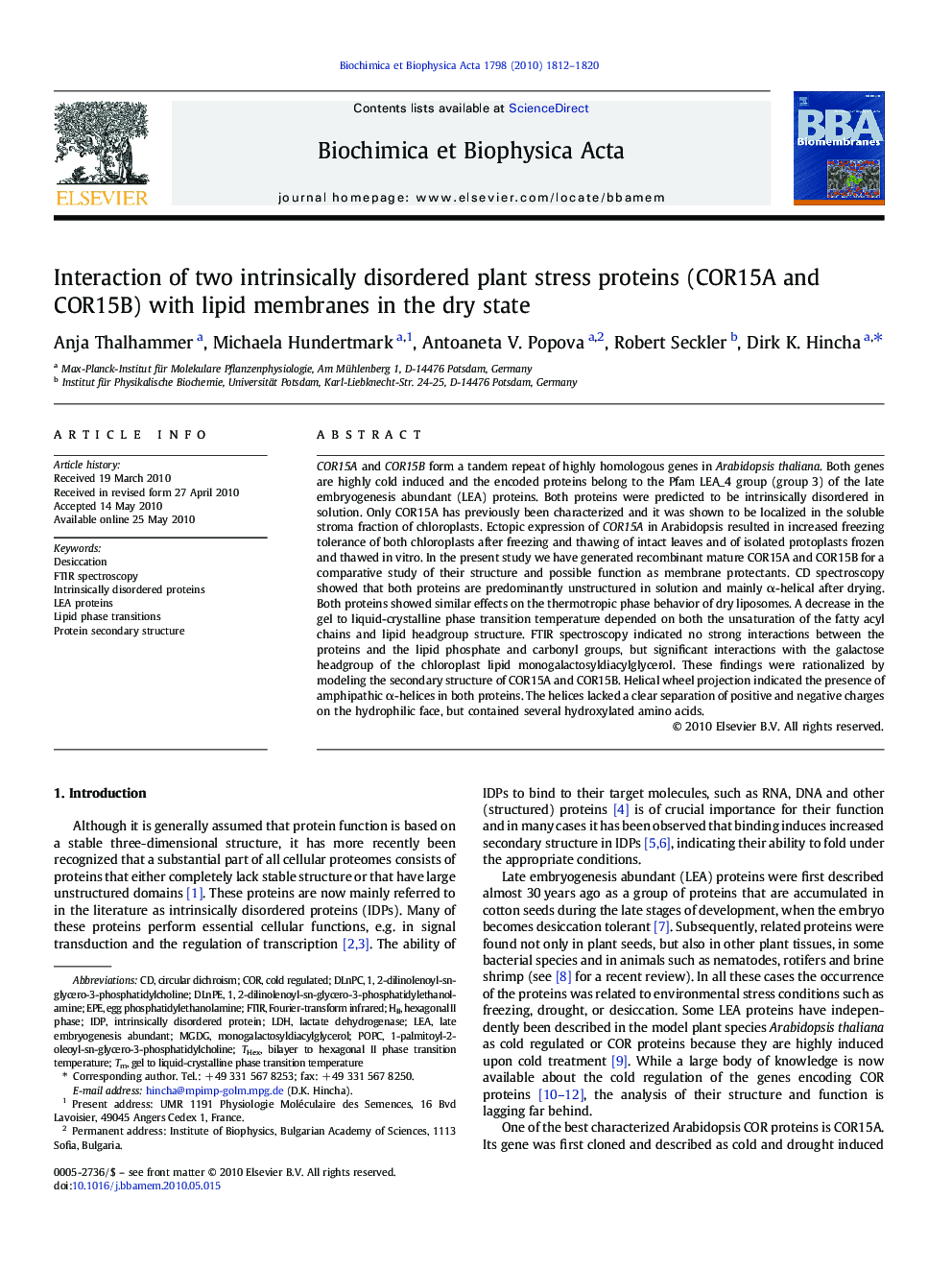 Interaction of two intrinsically disordered plant stress proteins (COR15A and COR15B) with lipid membranes in the dry state