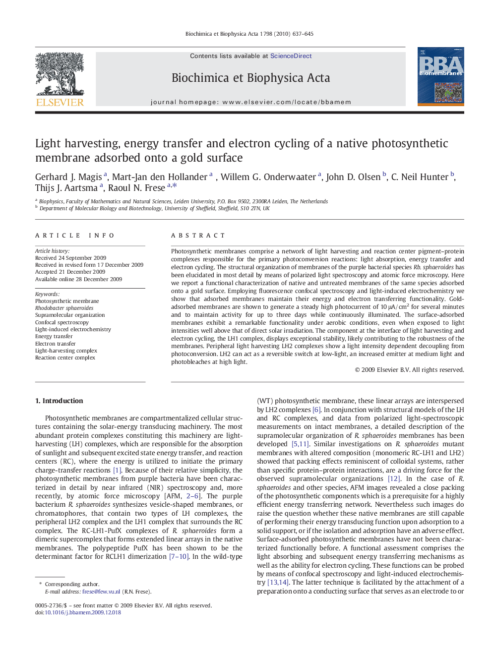 Light harvesting, energy transfer and electron cycling of a native photosynthetic membrane adsorbed onto a gold surface