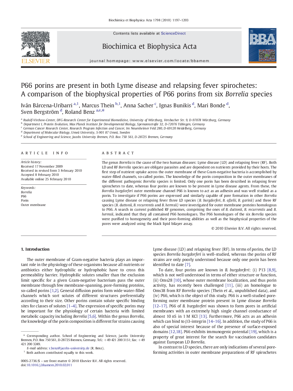 P66 porins are present in both Lyme disease and relapsing fever spirochetes: A comparison of the biophysical properties of P66 porins from six Borrelia species